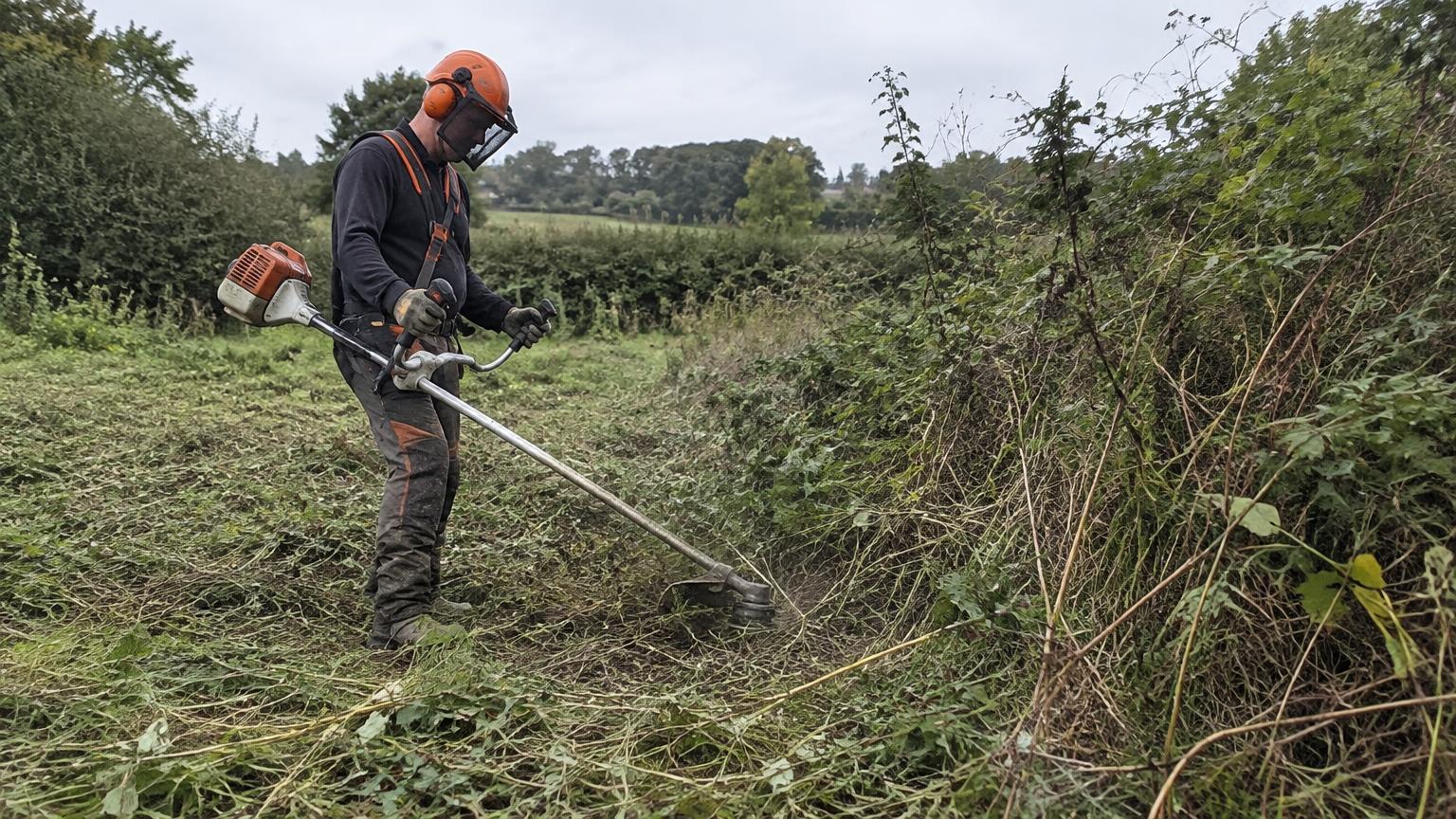 Débroussaillage d'un terrain envahi de ronces à la débroussailleuse
