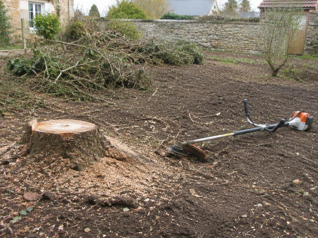 Dessouchage et débroussaillage