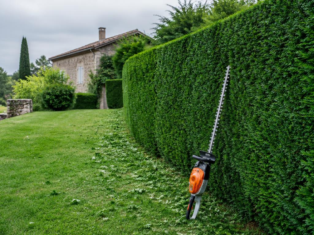 Taille de haie et d'arbre